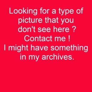 Looking for a picture?